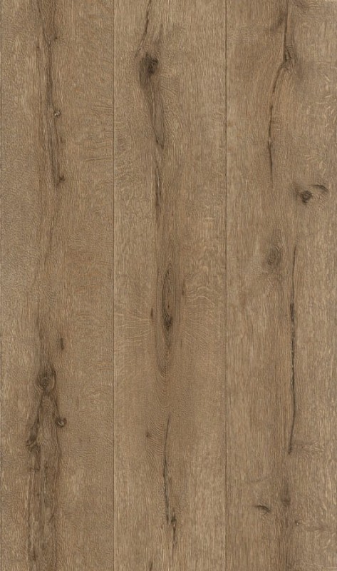 TAPETA 514445 BLACK FOREST