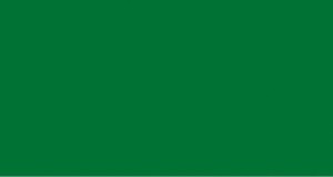 Okleina Meblowa 11299 / Gekkofix zielony mat szer 67,5 cm