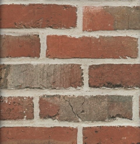 TAPETA J449-18 TOP TREND