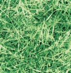 Okleina Meblowa 11567 / Gekkofix grass szer 90 cm
