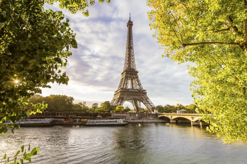 Fototapeta na flizelinie MS-5-0028 SEINE IN PARIS