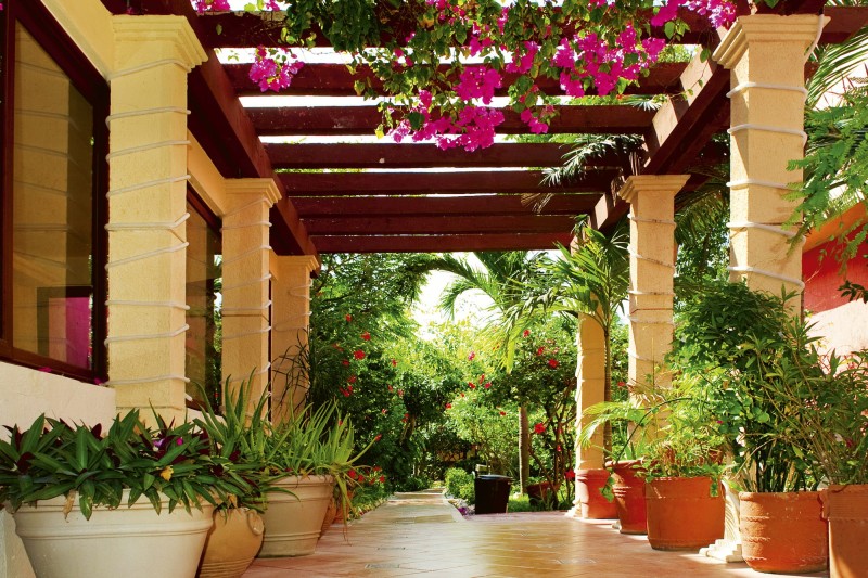 Fototapeta na flizelinie MS-5-0045 TERRACE