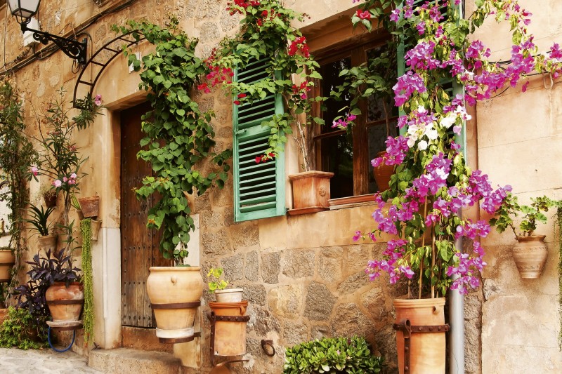 Fototapeta na flizelinie MS-5-0046 STREET GARDEN