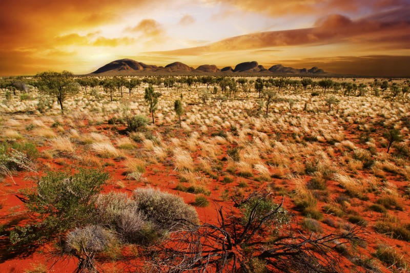 Fototapeta na flizelinie MS-5-0050 AUSTRALIAN LANDSCAPE