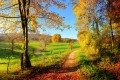 Fototapeta na flizelinie MS-5-0066 MEADOW