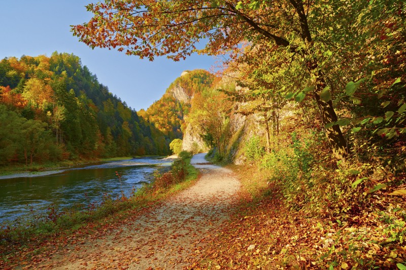 Fototapeta na flizelinie MS-5-0069 DUNAJEC RIVER