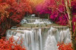 FotoTAPETA na flizelinie MS-5-0072 RAIN FOREST
