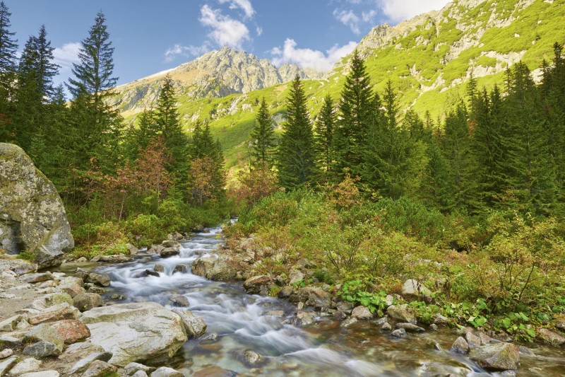 Fototapeta na flizelinie MS-5-0077 VALLEY