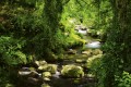 Fototapeta na flizelinie MS-5-0079 STREAM