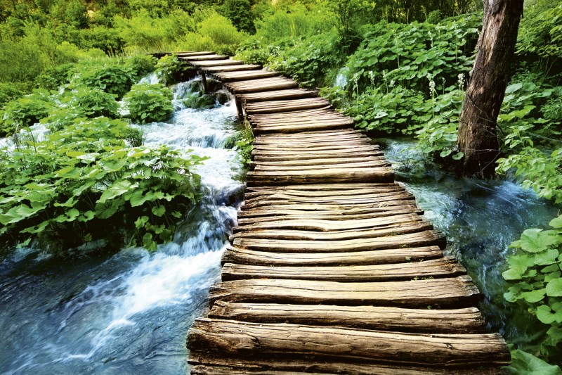 Fototapeta na flizelinie MS-5-0080 BOARDWALK