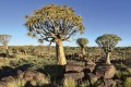 Fototapeta na flizelinie MS-5-0103 NAMIBIA