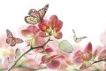 Fototapeta na flizelinie MS-5-0146 ORCHIDS AND BUTTERFLY