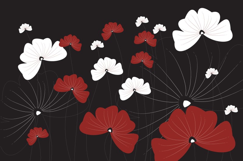 Fototapeta na flizelinie MS-5-0156 FLOWERS ON BLACK