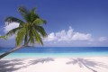 Fototapeta na flizelinie MS-5-0194 BEACH