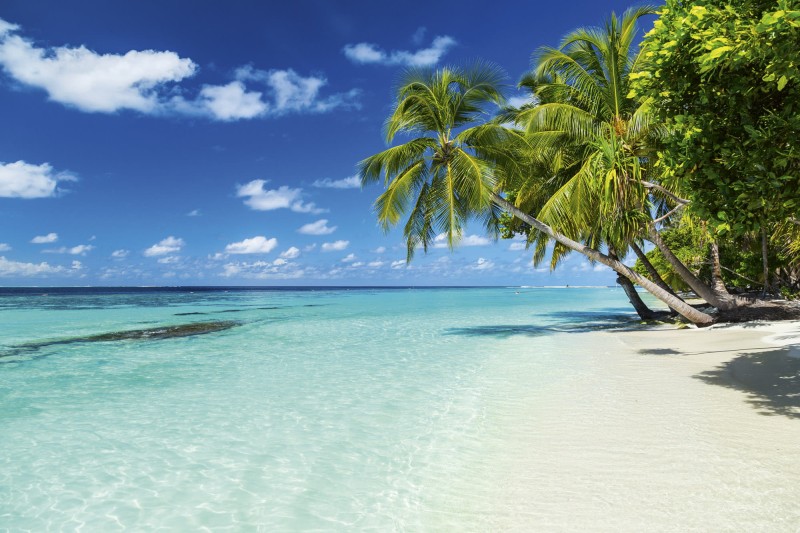 Fototapeta na flizelinie MS-5-0215 PARADISE BEACH