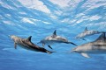 Fototapeta na flizelinie MS-5-0218 DOLPHINS