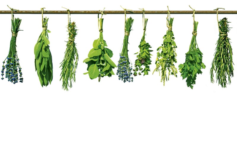 Fototapeta na flizelinie MS-5-0240 HERBS