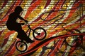 Fototapeta na flizelinie MS-5-0327 BICYCLE RED
