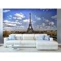 Fototapeta na flizelinie MS-5-0025 PARIS (