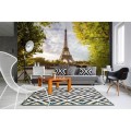 Fototapeta na flizelinie MS-5-0028 SEINE IN PARIS