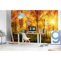 Fototapeta na flizelinie MS-5-0067 SUNNY FOREST