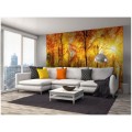 Fototapeta na flizelinie MS-5-0067 SUNNY FOREST