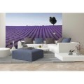Fototapeta na flizelinie MS-5-0088 LAVENDER FIELD