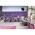 Fototapeta na flizelinie MS-5-0088 LAVENDER FIELD