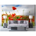 Fototapeta na flizelinie MS-5-0090 RED POPPIES