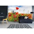 Fototapeta na flizelinie MS-5-0090 RED POPPIES