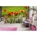 Fototapeta na flizelinie MS-5-0092 POPPY FIELD