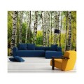 Fototapeta na flizelinie MS-5-0094 BIRCH FOREST