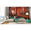 Fototapeta na flizelinie MS-5-0095 MISTY FOREST
