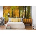 Fototapeta na flizelinie MS-5-0099 AUTUMN FOREST