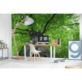 Fototapeta na flizelinie MS-5-0101 TREETOP
