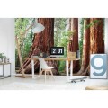 Fototapeta na flizelinie MS-5-0102 SEQUOIA