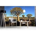 Fototapeta na flizelinie MS-5-0103 NAMIBIA