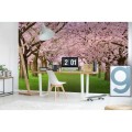 Fototapeta na flizelinie MS-5-0105 CHERRY TREES