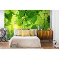 Fototapeta na flizelinie MS-5-0107 GREEN LEAVES