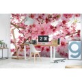 Fototapeta na flizelinie MS-5-0108 APPLE BLOSSOM