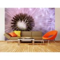 Fototapeta na flizelinie MS-5-0124 DANDELION
