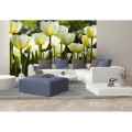 Fototapeta na flizelinie MS-5-0127 WHITE TULIPS