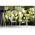 Fototapeta na flizelinie MS-5-0127 WHITE TULIPS