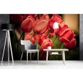 Fototapeta na flizelinie MS-5-0128 RED TULIPS