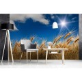 Fototapeta na flizelinie MS-5-0136 WHEAT FIELD