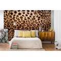 Fototapeta na flizelinie MS-5-0184 LEOPARD SKIN