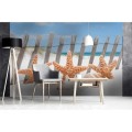 Fototapeta na flizelinie MS-5-0206 STARFISH