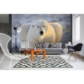 Fototapeta na flizelinie MS-5-0220 BEAR