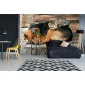 Fototapeta na flizelinie MS-5-0221 CAT AND DOG