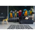 Fototapeta na flizelinie MS-5-0223 COLOURFUL MACAW